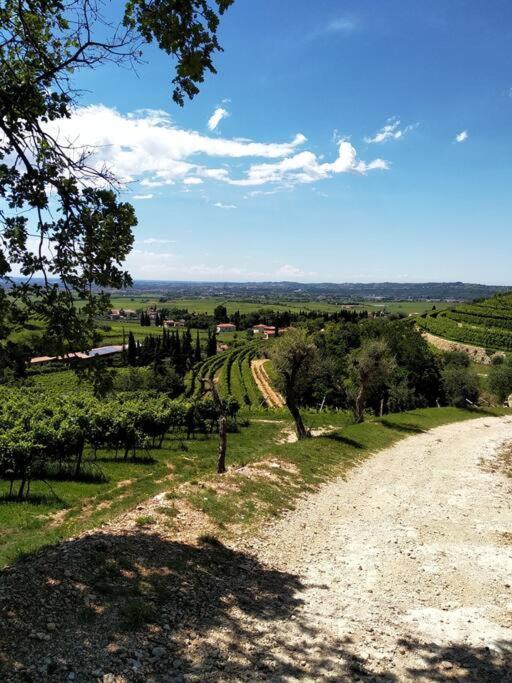 Giardino Del Borgo Appartamento Valpolicella Сант-Амброджо-ди-Вальполичелла Экстерьер фото