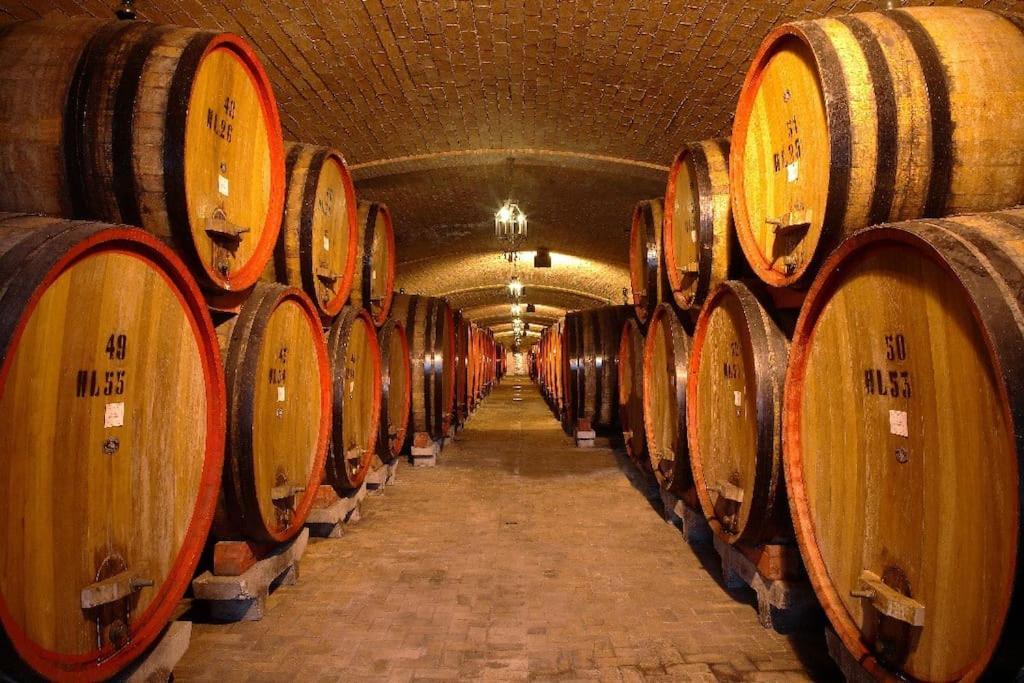 Giardino Del Borgo Appartamento Valpolicella Сант-Амброджо-ди-Вальполичелла Экстерьер фото