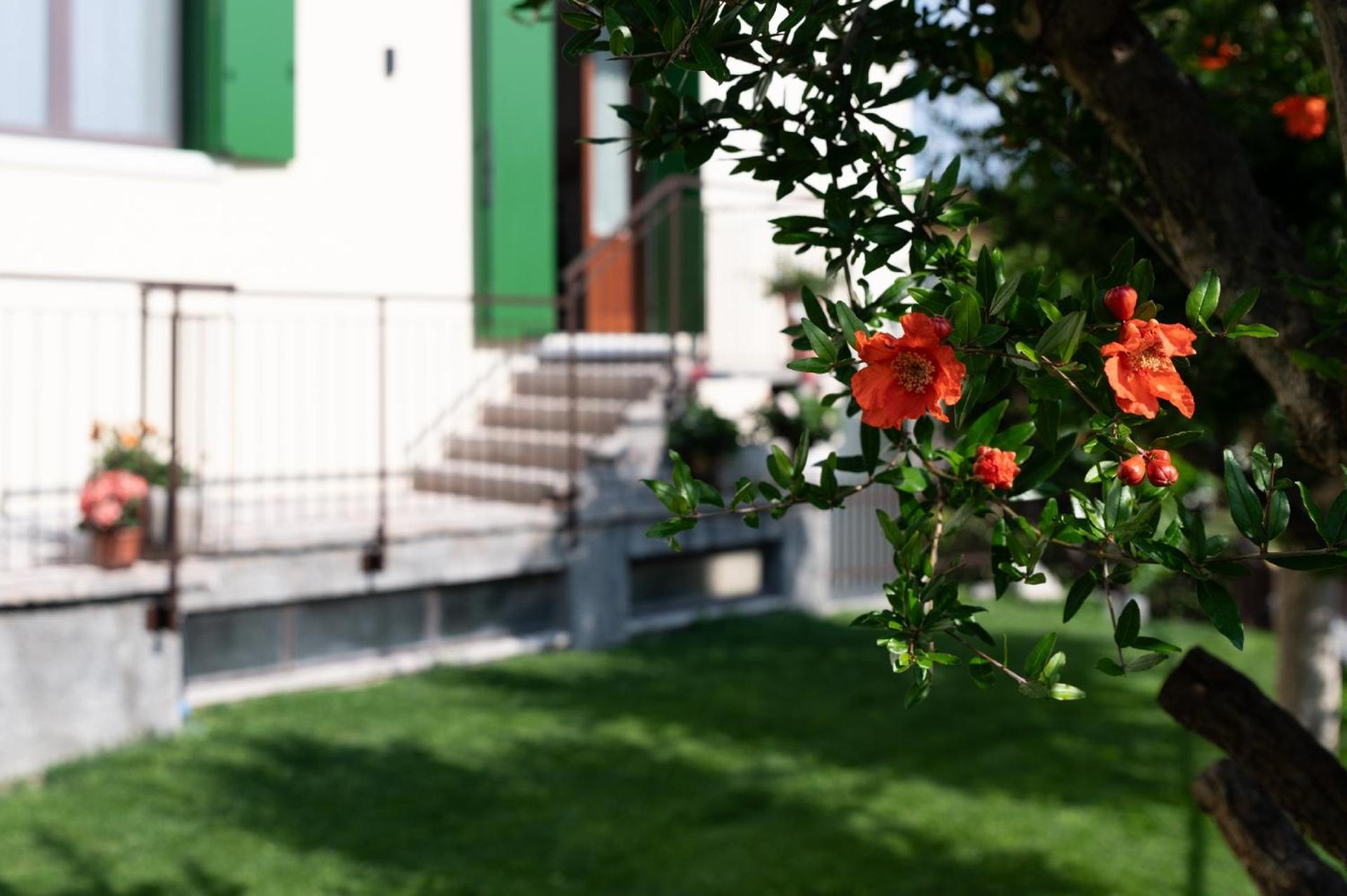 Giardino Del Borgo Appartamento Valpolicella Сант-Амброджо-ди-Вальполичелла Экстерьер фото